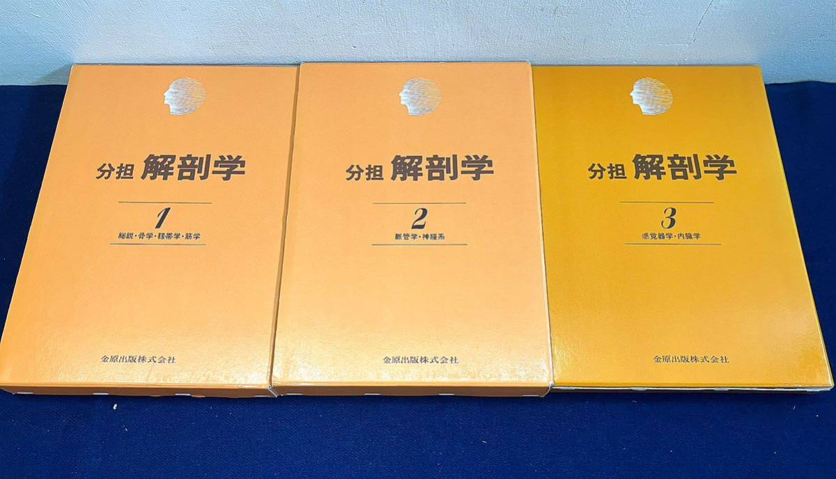 DVD 臨床に役立つ解剖学実習セット 2007 佐藤達夫 (著)1上肢、2下肢、3 ...
