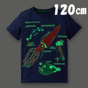 半袖 Tシャツ キッズ 120cm 光る！ 蓄光 深海魚 イカ 男の子 女の子 男女兼用 Tシャツ 海の生き物 ネイビー 紺 