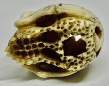 【本】象牙風☆在銘 髑髏彫刻　根付☆骸骨　ガイコツ　skull netsuke_画像6