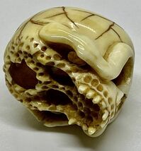 【本】象牙風☆在銘 髑髏彫刻　根付☆骸骨　ガイコツ　skull netsuke_画像7