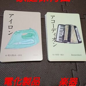 【家庭保育園】 絵カード 「電化製品」「楽器」 各全27枚