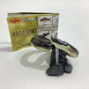 中古品 原色図鑑シリーズ6 原色淡水魚図鑑Ⅱ 23 ウナギ YUJIN ガチャガチャ カプセルトイ フィギュア