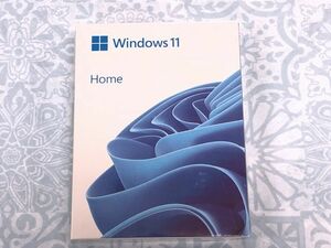 Windows11 Home OS 日本語版 USBパッケージ版