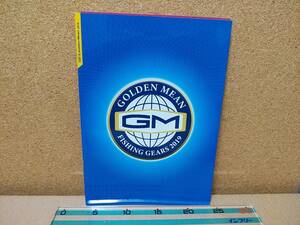 ゴールドミーン GM Golden　Mean　２０１９年　カタログ 174g