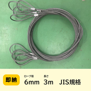 ワイヤー 6mｍ（2分）×3ｍ　JIS規格★10本セット★ワイヤーロープ　　ロックカシメ（新品）玉掛　玉掛索