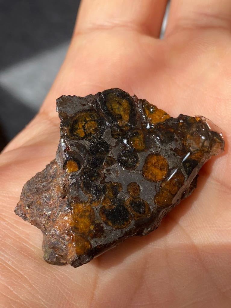 パラサイト隕石 253g セリコ隕石原石 希少 Bigサイズ メテオライト-