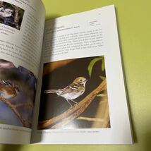 ◎ハワイの野鳥本　A Photographic Guide to the Birds of Hawai'i: The Main Islands and Offshore Waters (A Latitude 20 Book)_画像7