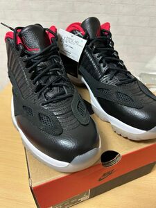 NIKE AIR JORDAN 11 LOW IE ジョーダン11 ロー ブレッド 黒 赤 919712 023 28cm 