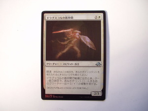 バイン　MTG ドラグスコルの盾仲間 foil 日本語1枚