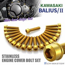 バリオス/II BALIUS エンジンカバーボルト 19本セット ステンレス製 スリムヘッド カワサキ車用 ゴールドカラー TB8242_画像1
