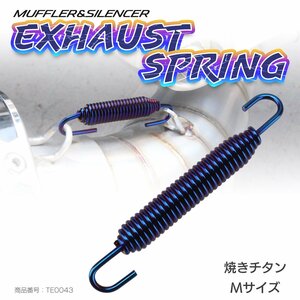  muffler spring exhaust springs . titanium color M size flexible hook flange . chamber. fixation also TE0043