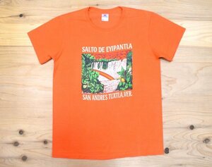 2000s メキシコ古着 サルト デ エイパントラ滝 スーベニア Tシャツ sizeL オレンジ アニマル アメカジ 2000年代 Y2K