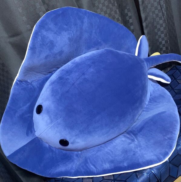 もちぷに エイ ぬいぐるみ