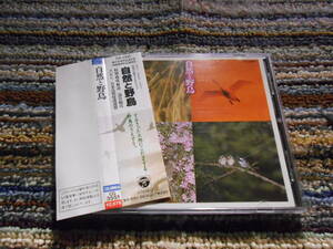 ◎レア廃盤。自然と野鳥