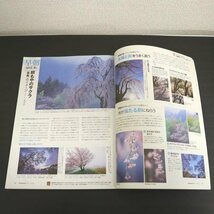 特3 81697 / デジタルカメラ・マガジン 2012年4月号 キャノン EOS5DMarkⅢ ニコンD800 富士フィルム X-PRO1 ソニーNEX-7_画像4