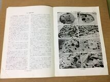 ●K315●三原田遺跡●資料合冊●遺跡調査遺物整理住居土器●1977●群馬県文化財保護協会●即決_画像3