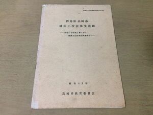 ●K319●群馬県高崎市城南小校庭弥生遺跡●高崎市文化財調査報告書第1集●国道17号拡幅工事に伴う埋蔵文化財発掘調査報告●昭和48年●即決