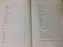 ●K319●元島名将軍塚古墳●高崎市文化財調査報告書第22集●前方後方墳の外部施設確認調査●群馬県●1981●高崎市教育委員会●即決_画像3