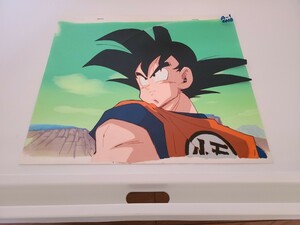 DRAGON BALL　セル画　直筆背景付き　孫悟空　検　ドラゴンボール　鳥山明　原画　(注　セル画に割れあり　ジャンク)