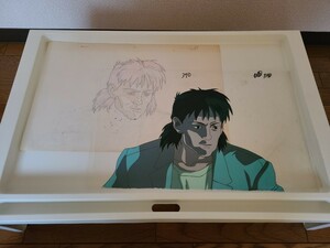  Ghost in the Shell cell picture autograph animation attaching inspection .. regular . pushed ..GHOST IN THE SHELL