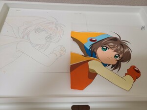  Cardcaptor Sakura цифровая картинка автограф анимация имеется 