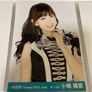 AKB48 小嶋陽菜 月別 2012 6月 生写真 June こじはる