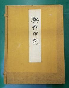 長谷川契花「契花百菊」(全3巻)　明治41年　山田直三郎刊　芸艸堂　彩色木版画譜 菊花図譜 植物画譜 ●H2319