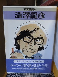  new literary art reader Shibusawa Tatsuhiko Kawade bookstore new company 