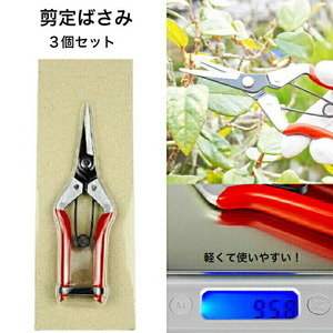  pruning scissors bonsai equipment . hand go in supplies branch cut tongs gardening supplies gardening 3 piece set 