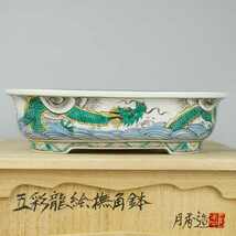 月香 共布 共箱 五彩 龍絵 撫角 長方鉢 観賞用 盆栽鉢 現品 新品_画像3