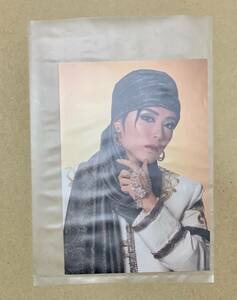 .. sho steel photograph of a star Takarazuka .. snow collection Silkroad Takara zuka photograph 