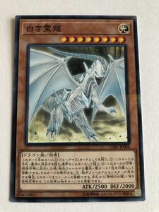 遊戯王　光　白き霊龍　ノーパラ