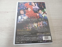 宝塚歌劇団雪組 DVD ソルフェリーノの夜明け-アンリー・デュナンの生涯-/Carnevale 睡夢_画像2