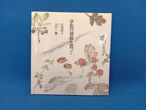 草色の切符を買って 岸田衿子 古矢一穂 青土社