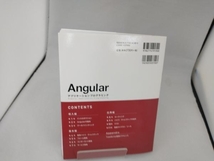 Angularアプリケーションプログラミング 山田祥寛_画像3