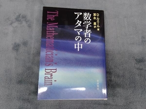 数学者のアタマの中 D.ルエール