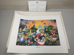 現状品 Disney 'A Magical Time In A Magical Place' LImited Edition 2005 【A】