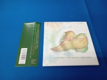 SHUICHI AOKI & CHIE IWASHITA(Night Hawks) CD iron birds_画像1