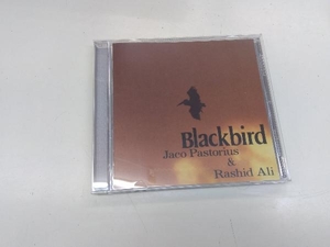 ジャコ・パストリアス/ラシッド・アリ CD ブラックバーズ