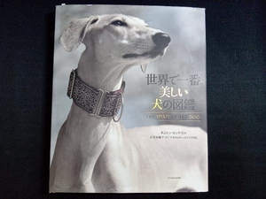 世界で一番美しい犬の図鑑 タムシン・ピッケラル