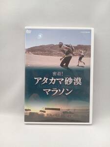 DVD 密着!アタカマ砂漠マラソン