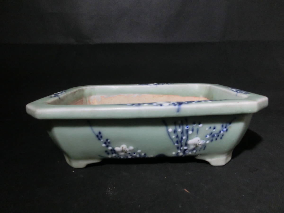 ヤフオク! -瀬戸焼 鉢の中古品・新品・未使用品一覧