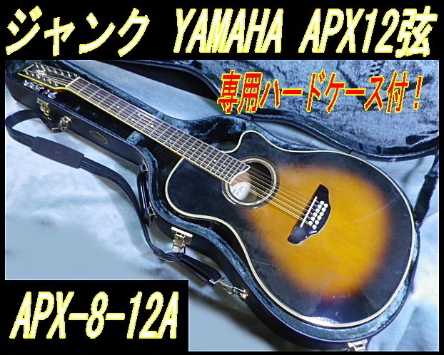 ヤフオク! -「12弦エレアコ」(ギター) (楽器、器材)の落札相場・落札価格