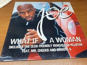 NO 11-2100 ◆ 12インチ ◆ Joe ◆ What If A Woman