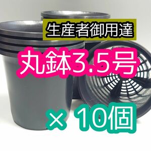 丸鉢 3.5号 黒 10個 プラ鉢 サボテン アガベ 観葉植物 多肉植物 盆栽 観葉植物 ハーブ バラ 球根