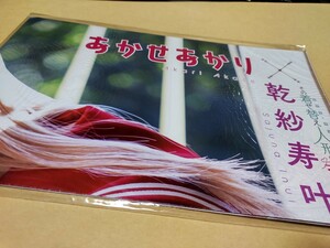 ヤングガンガン 2023年 3/17 号　No.6 付録　ポスター　あかせあかり