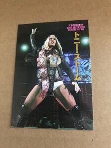 スターダム 2018 トニーストーム カード トレカ STARDOM WWE AEW NXT c