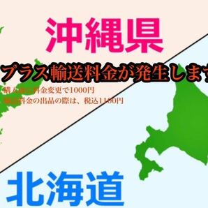 和歌山県産 清見 オレンジ 家庭用 8kg 数量限定 早い者勝ち セール フルーツ みかん お試し価格の画像3