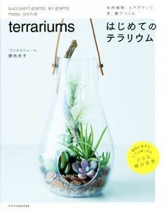  впервые .. террариум суккулентное растение, воздушный растения, мох, орхидея ....|. земля конец .( автор )