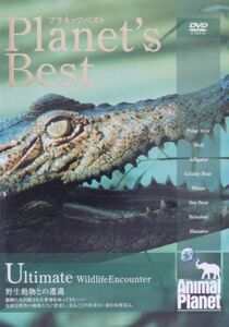 プラネッツ・ベスト　野生動物との遭遇／趣味・教養